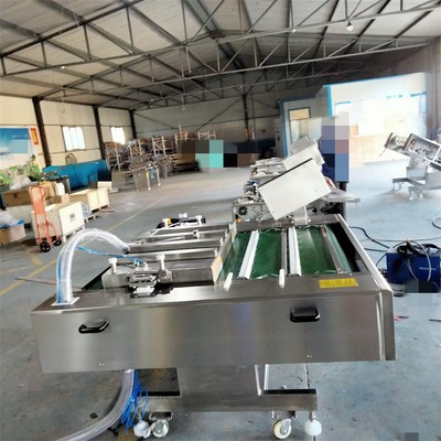 供应全自动连续真空包装机 酸笋滚动真空机 蒜米真空包装封口机图4