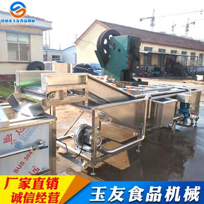果蔬清洗机 淋喷式辣椒气泡清洗机设备 全自动果蔬清洗机图2