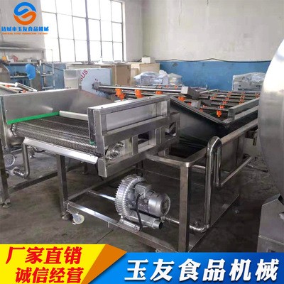 果蔬清洗机 淋喷式辣椒气泡清洗机设备 全自动果蔬清洗机图4