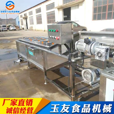 果蔬清洗机 淋喷式辣椒气泡清洗机设备 全自动果蔬清洗机图3