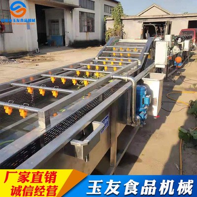 果蔬清洗机 淋喷式辣椒气泡清洗机设备 全自动果蔬清洗机