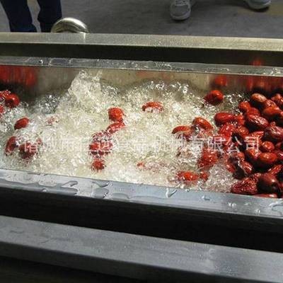 供应全自动果蔬清洗机不锈钢蔬菜清洗流水线淋喷式清洗风干流水线图3