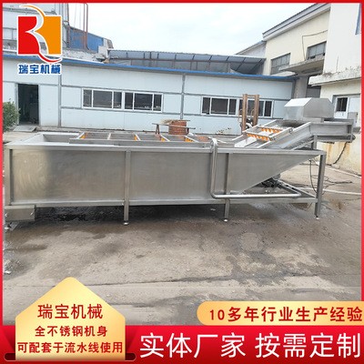气泡翻浪式果蔬清洗机 多功能芥菜丝清洗机 全自动四季豆清洗设备