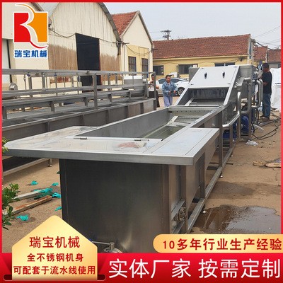 软包装袋清洗去污设备 气泡式竹笋翻浪清洗机 毛豆豆角专用清洗机图3