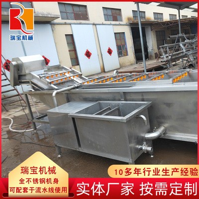 软包装袋清洗去污设备 气泡式竹笋翻浪清洗机 毛豆豆角专用清洗机