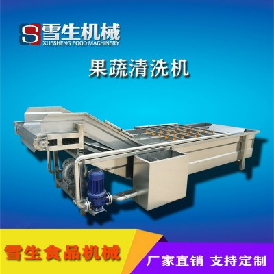 全自动连续式气泡清洗机 定制果蔬气泡清洗机 长期供应气泡清洗机