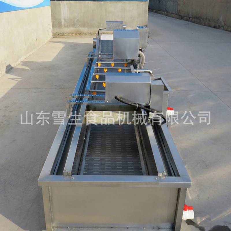 全自动连续式气泡清洗机 定制果蔬气泡清洗机 长期供应气泡清洗机图5