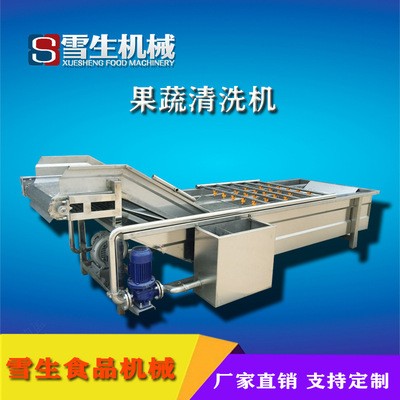 大型清洗蔬菜气泡清洗机 定制型号不锈钢连续果蔬气泡清洗机 热销
