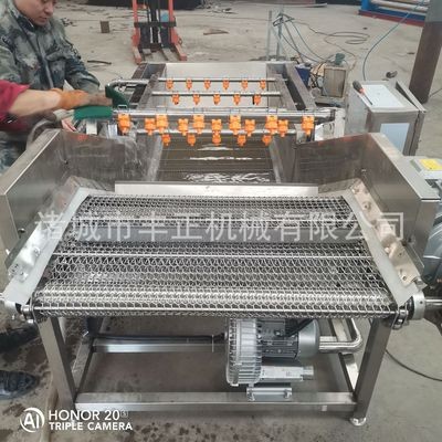全自动气泡清洗线 红薯土豆清洗机 水果蔬菜清洗全套设备图3