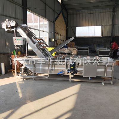 不锈钢气泡清洗机 瓜果蔬菜清洗设备 枸杞蓝莓大枣清洗机