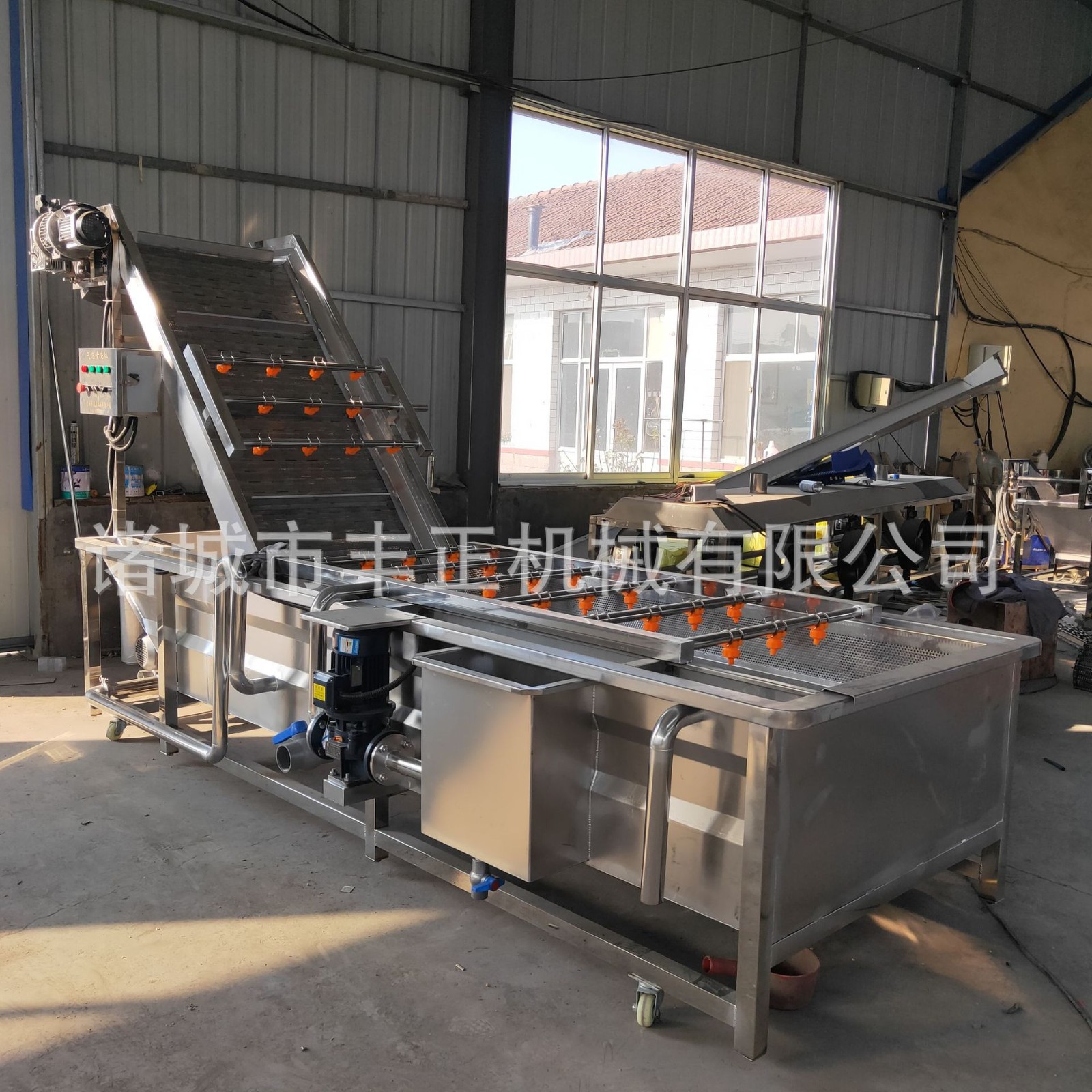 全自动喷淋式青辣椒清洗机 瓜果蔬菜气泡清洗机 不锈钢果蔬清洗机图2