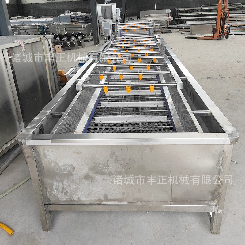 果蔬气泡清洗机翻浪式小龙虾气泡清洗设备厂家供应蔬菜气泡清洗机图3