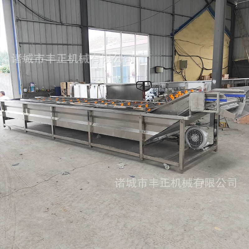 果蔬气泡清洗机翻浪式小龙虾气泡清洗设备厂家供应蔬菜气泡清洗机图5