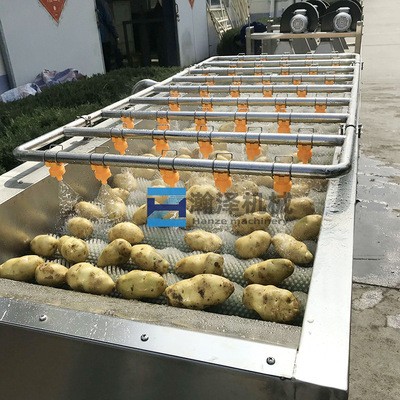 毛刷洗菜机 大型连续式毛刷辊洗山药牛蒡洋姜大姜设备 自动清洗机图2