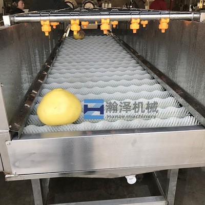 毛刷洗菜机 大型连续式毛刷辊洗山药牛蒡洋姜大姜设备 自动清洗机图4