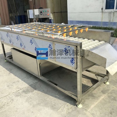 毛刷洗菜机 大型连续式毛刷辊洗山药牛蒡洋姜大姜设备 自动清洗机图3