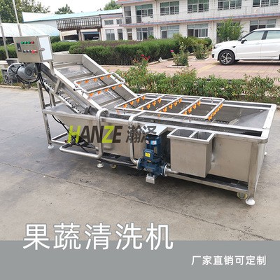 商用全自动喷淋式水果蔬菜清洗机 山野菜去农残气泡清洗机图4