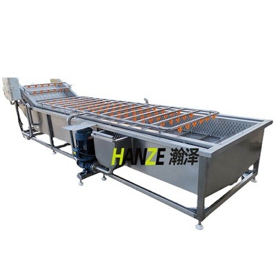 商用全自动喷淋式水果蔬菜清洗机 山野菜去农残气泡清洗机图5