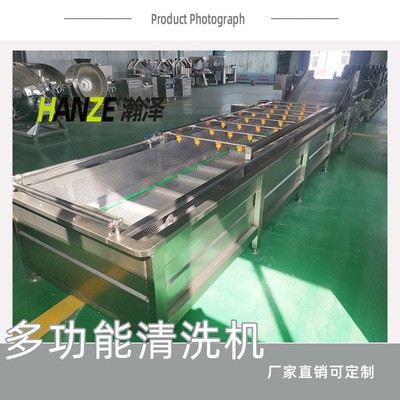 商用全自动喷淋式水果蔬菜清洗机 山野菜去农残气泡清洗机图3