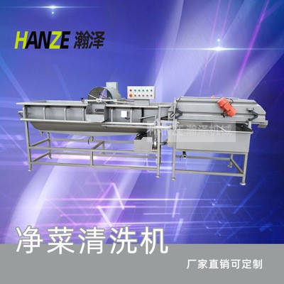 商用全自动喷淋式水果蔬菜清洗机 山野菜去农残气泡清洗机