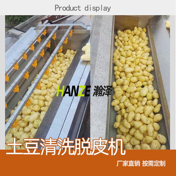 毛辊清洗机 海鲜贝类海螺清洗机 根茎类萝卜辣菜榨菜去泥清洗机图2