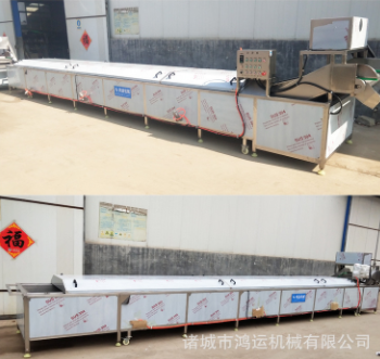 蔬菜杀青流水线 不锈钢蒸煮杀菌漂烫池 清洗风干流水线图3