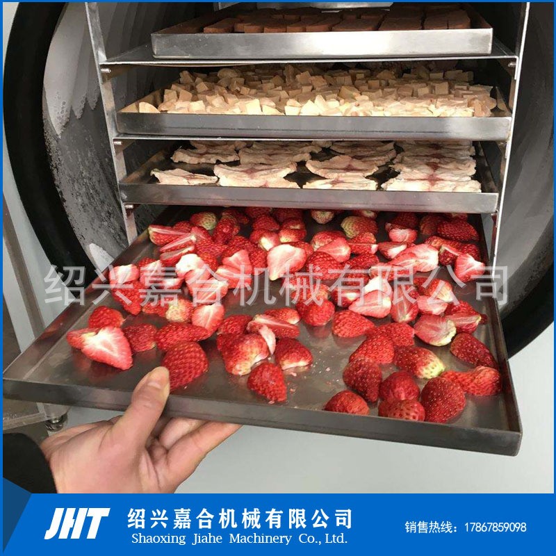 食品水果冻干机 果蔬真空冻干干燥设备 海鲜银耳羹真空冷冻实验型