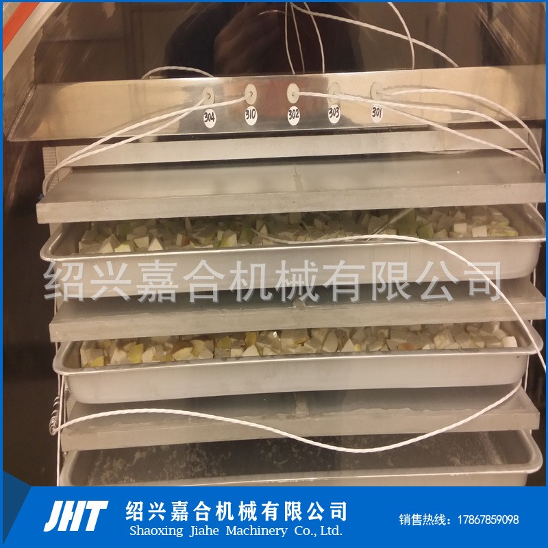 全自动真空冻干机器 方便面蔬菜包冷冻干燥设备 虫草参片冻干机