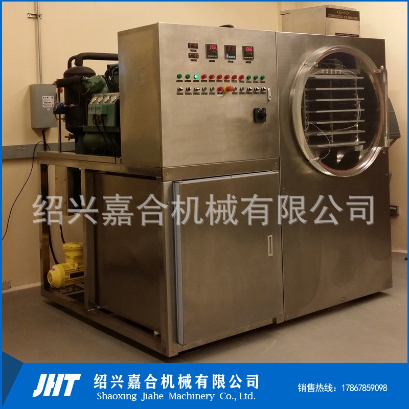 全自动真空冻干机器 方便面蔬菜包冷冻干燥设备 虫草参片冻干机图3