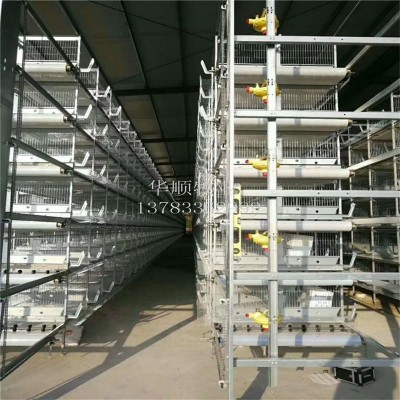 层叠育雏笼 养的多通风好