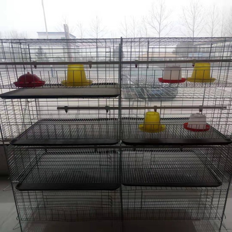 层叠育雏笼 养的多通风好图3