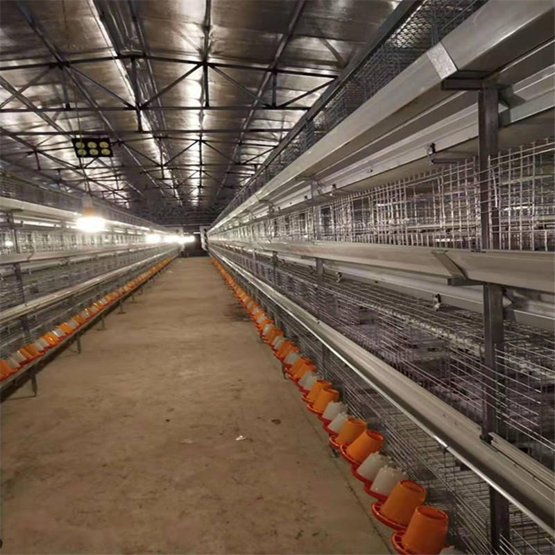 层叠育雏笼 养的多通风好图2