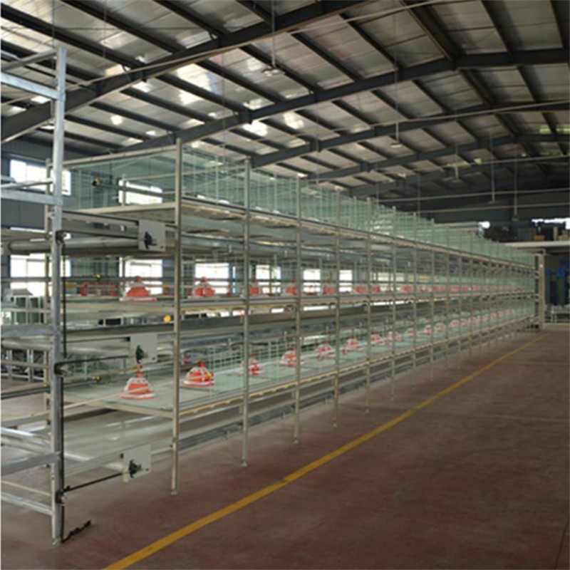 层叠育雏笼 养的多通风好图5