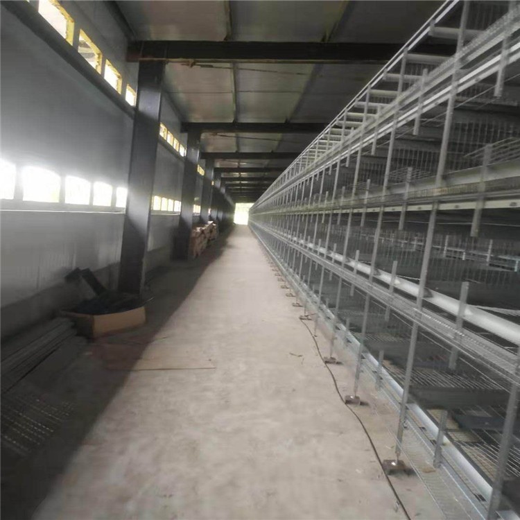 河南鸡笼之乡销售立式育雏笼 、层叠育雏笼让养殖变的更轻松图5