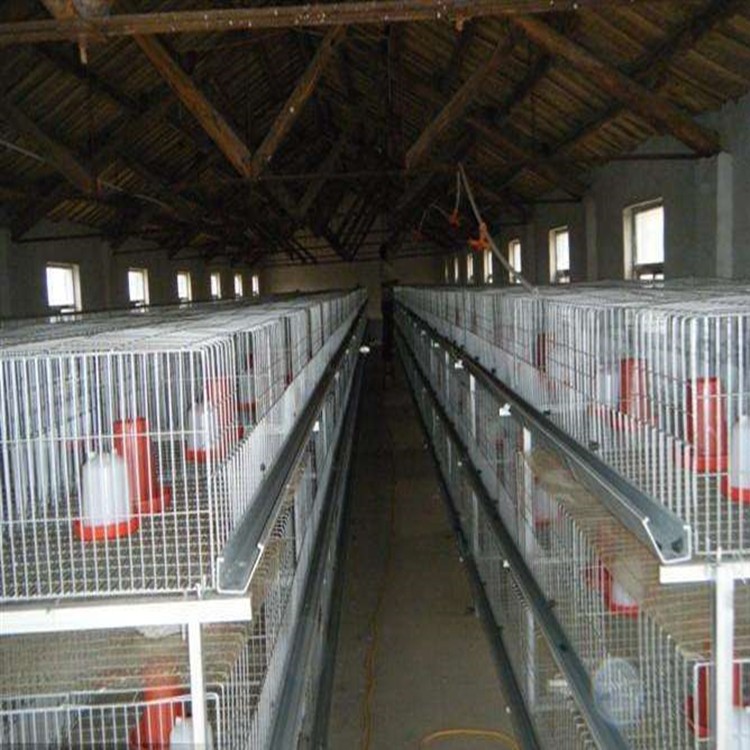 河南鸡笼之乡销售立式育雏笼 、层叠育雏笼让养殖变的更轻松