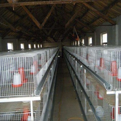 河南鸡笼之乡销售立式育雏笼 、层叠育雏笼让养殖变的更轻松
