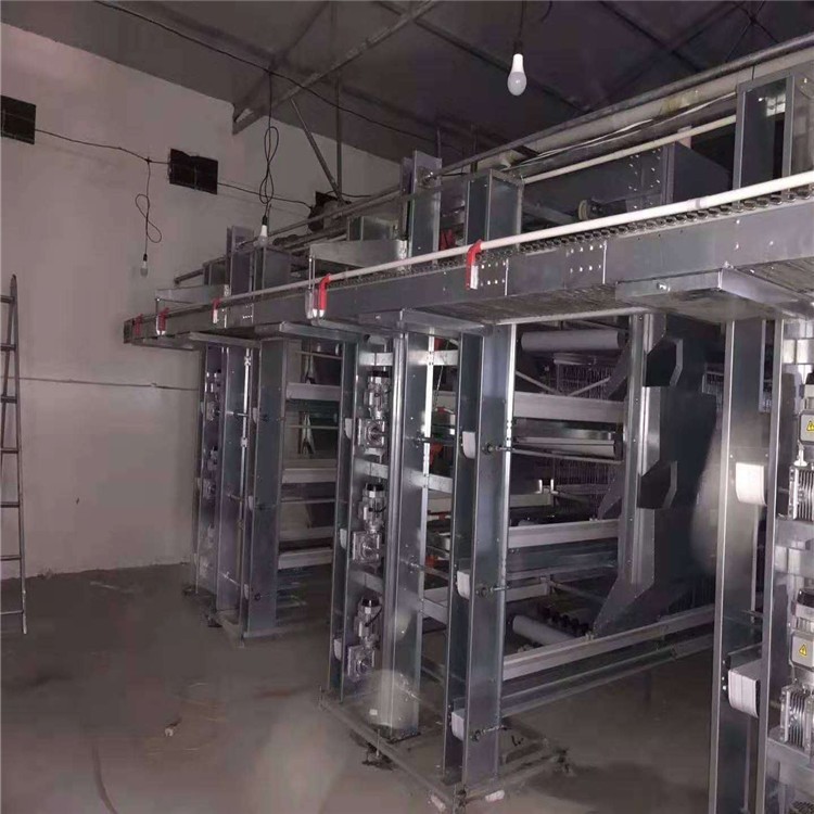 层叠蛋鸡笼深受养殖户喜爱操作方便好管理让养殖更轻松
