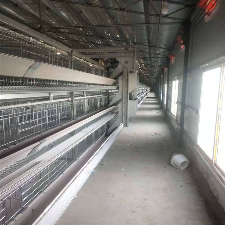层叠蛋鸡笼深受养殖户喜爱操作方便好管理让养殖更轻松图3