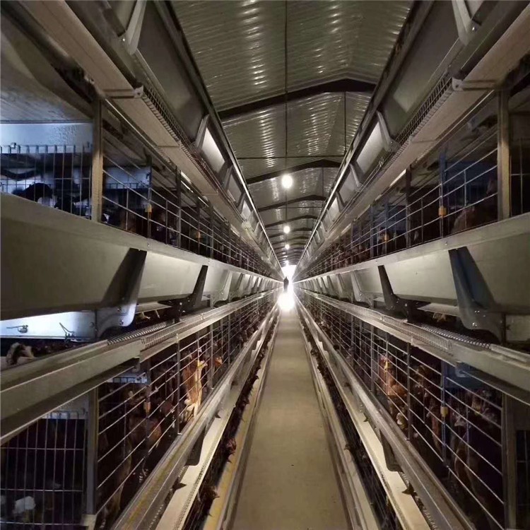 层叠蛋鸡笼深受养殖户喜爱操作方便好管理让养殖更轻松图5