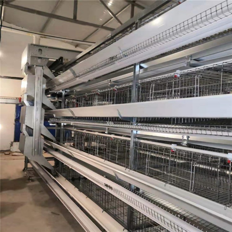 华顺鸡笼新品小层叠蛋鸡笼 可多养鸡 欢迎大家咨询