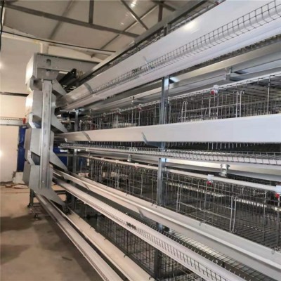 华顺鸡笼新品小层叠蛋鸡笼 可多养鸡 欢迎大家咨询