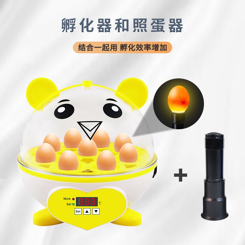 9枚半自动智能孵化机 小型家用儿童孵蛋器鸡鸽子鹌鹑鸟家禽养殖盒图5