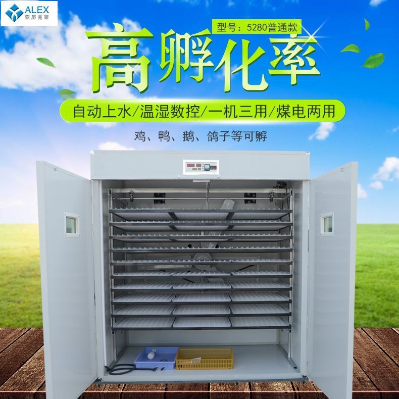 大型智能恒温孵化机 5280工业机孵卵器 全自动鸡鸭鸽子孵蛋器配件
