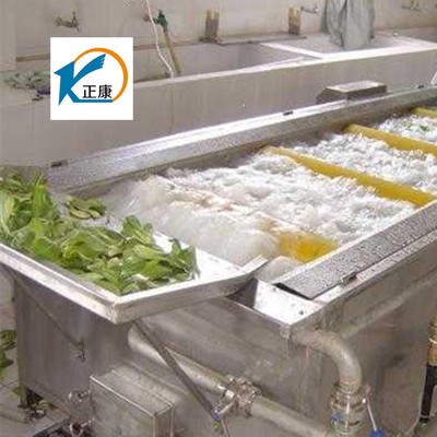 气泡清洗机,果蔬清洗机,高压喷淋清洗机,橙子清洗机13869639035图2