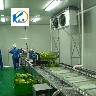 气泡清洗机,果蔬清洗机,高压喷淋清洗机,橙子清洗机13869639035