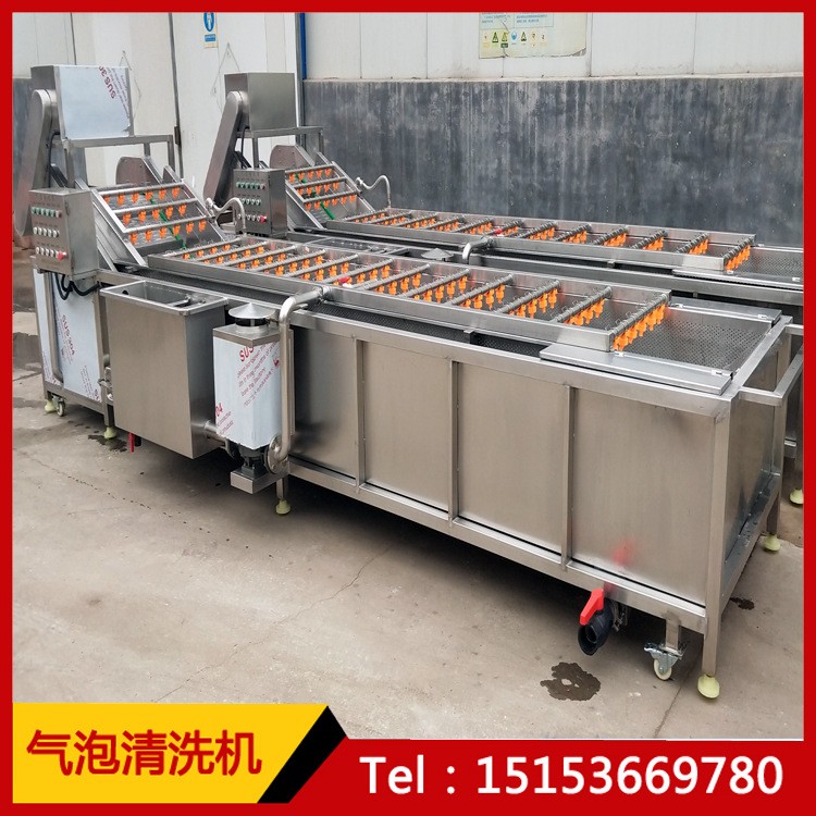 冻肉解冻机 肉类鸡爪解冻流水线 不锈钢解冻机图5
