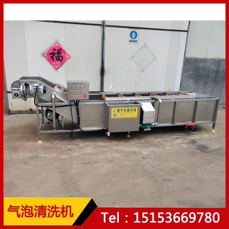 冻肉解冻机 肉类鸡爪解冻流水线 不锈钢解冻机图2