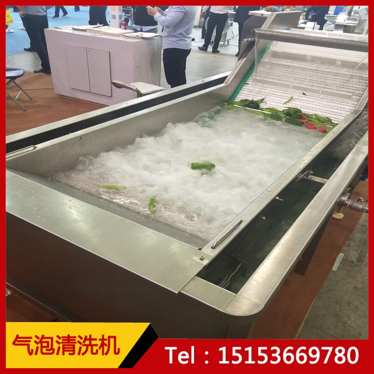 冻肉解冻机 肉类鸡爪解冻流水线 不锈钢解冻机图3