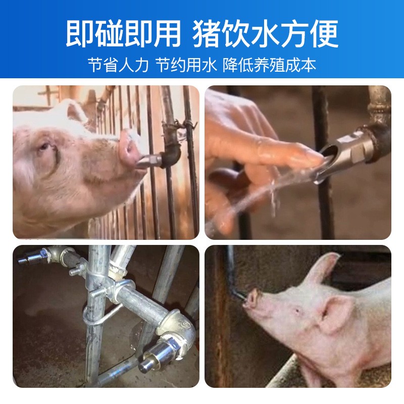 厂家批发猪用饮水嘴不锈钢自动饮水嘴母猪不锈钢猪嘴猪用饮水器图2