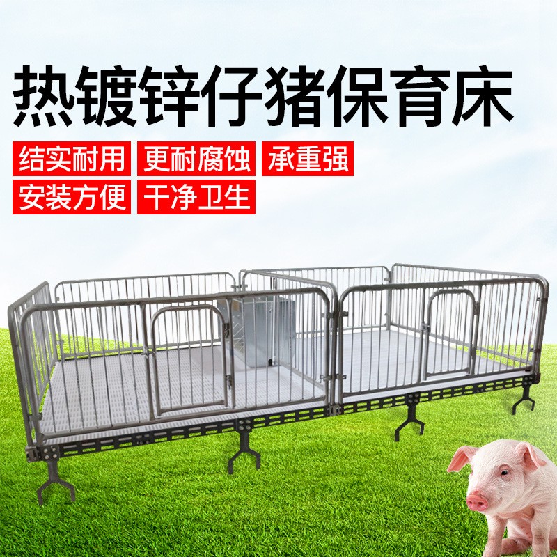 厂家批量生产小猪用铸铁保育床塑料漏粪板双面食槽国标镀锌管促销